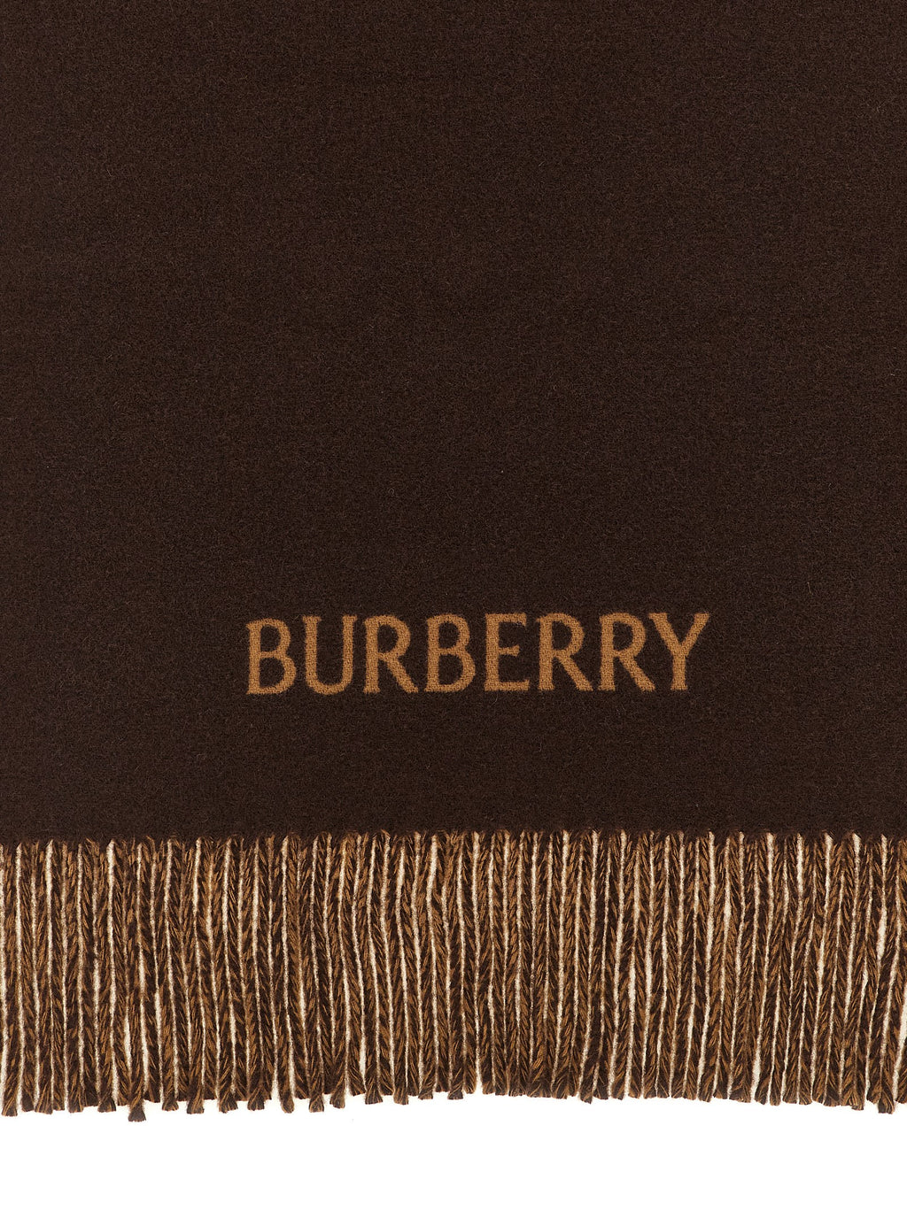 Burberry Men's Multicolor Cashmere Knight Reversible Scarf