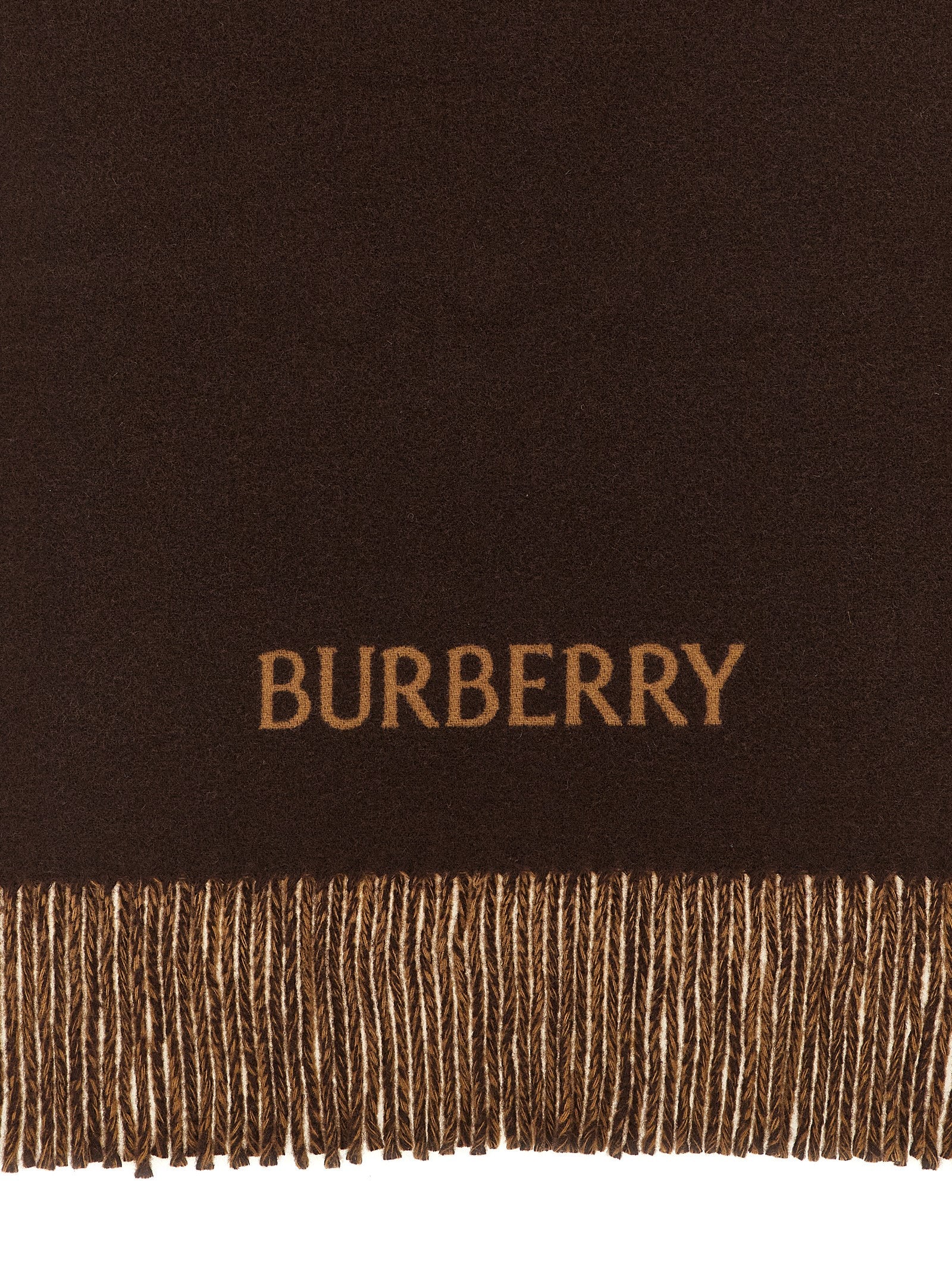 Burberry Men's Multicolor Cashmere Knight Reversible Scarf