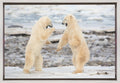 Wall art Fight !