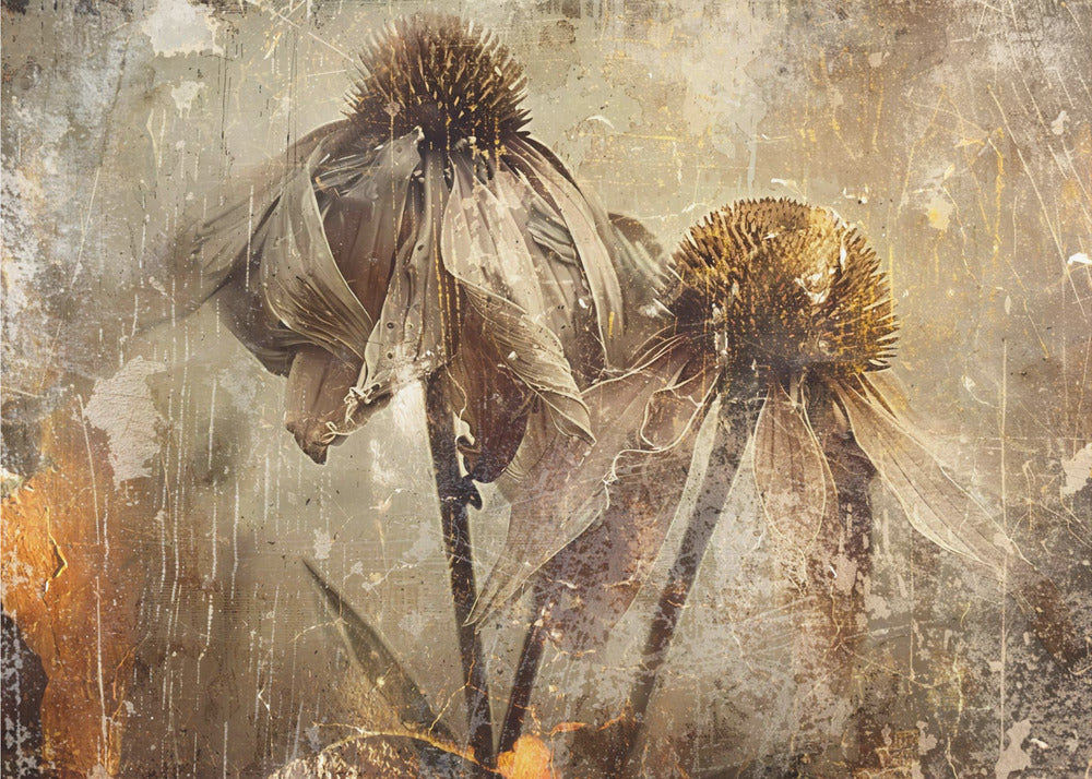 Flower Floral Art Illustration Wallart 082